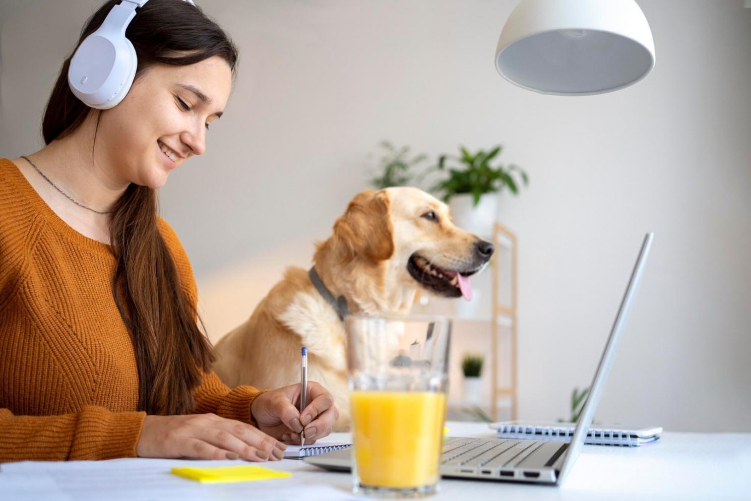 Sessione formativa con esercitazioni pratiche